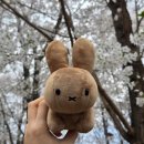 창천근린공원 화장실 | [검배근린공원] 서울 근교 구리 벚꽃 명소 점심 데이트 주차장 정보