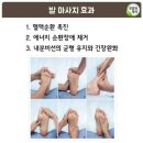 팔팔 두발로