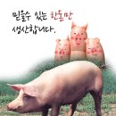 영농조합법인운도축산 이미지