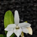 석곡농협 하나로마트 이미지