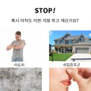 황토와 편백나무 등 천연재료로만 만든 바른황토 천연황토페인트 "자연정원" 이미지