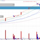 천일양봉 이미지