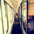 그린헬스 이미지