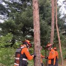 안성소방서 이미지