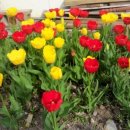 뿌리민박 이미지