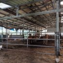 상강축사 이미지