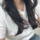 그린미용실 | 압구정 c컬펌 그린바이강미 미용실 후기 청담미용실추천