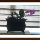 대굴령마을 이미지