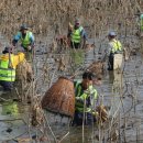 가래치기 이미지