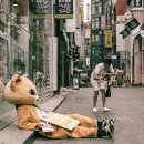 그로우짐 이미지