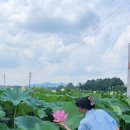 37.5의왕왕송호수점 이미지