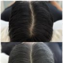 스테이 무아 이미지