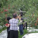 알선농원 이미지