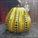 호박여관 이미지