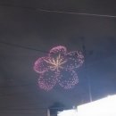 송죽초 | 수원 만석공원 벚꽃 축제 후기, 불빛축제·드론쇼까지 제대로 즐긴 날