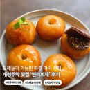 북엔카페사계절 | 파주 아이 카페 추천 | 모래놀이 가능한 개성주악 맛집 연리희재 후기