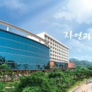 보성빌딩 이미지