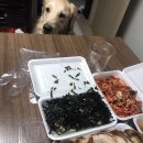 한약장충왕족발(옥산점) | 경산 시지 족발집 내돈내산 솔직후기 - 한약장충왕족발보쌈/아미족발/여왕왕족발보쌈/강촌만족