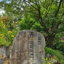 합천휴테마파크 | 여름방학 캠핑 추천, 합천휴테마파크에서 힐링하고 왔어요