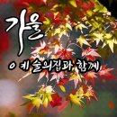 한강 세계 불꽃 축제 이미지