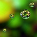 그린마케팅 네이버블로그