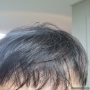 큐에스피 | [뷰티/제품후기] 고가의 원료를 넣어서 만든 탈모샴푸_큐어블 스칼프 에니그마