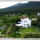 보성애견 이미지