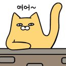 양유리민박