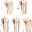 24시동탄윌동물의료센터 이미지