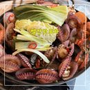빨간가게 | 빨간맛포차 인천루원청라본점 <<조개찜이 맛있는 청라 맛집 회식>>