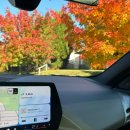 그린좋은주유소 | 🇨🇦 캐나다 밴쿠버 식스트 (SIXT) 렌트카 강력 추천 후기 / 캐나다 렌트카 꿀팁 / 여행 코스 공유 / 실제...