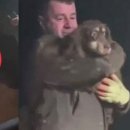 보듬어 줄개 이미지