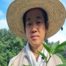 고운농장 이미지