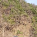 청도공인중개사사무소 이미지