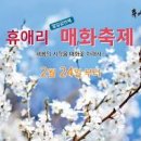 설연휴 제주도 가볼만한곳 휴애리 매화축제(국내여행) 이미지