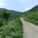 홍길동숲마을 이미지