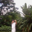 Y골프아카데미 이미지