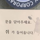 헌삥