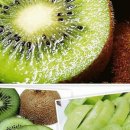 백이산 농장 이미지