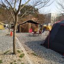 소나무농원 캠핑장 이미지