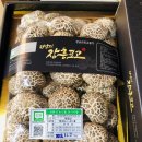 정남진 표고돌이