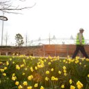 128 Days to go /First day of spring ushered in on Olympic Park 이미지