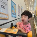 카페퍼즐 | 포항 이동 이마트 키즈카페 블럭앤퍼즐 후기