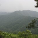 궁동천 이미지