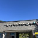 율곡 | [경기/파주]날씨 좋은날 산책하기 좋은 율곡수목원 솔직후기
