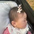 느티울어린이공원 이미지