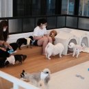 카페몽드 - 청도군 남성현로 348 | 카페몽드