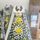 은평-055 이미지