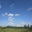 중앙골프클럽 | [골프장 / 충남] 내포골프클럽 | 내포GC 퍼블릭골프장 내포골프클럽후기⛳️🏌🏻💚