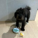 오늘멍밥 이미지